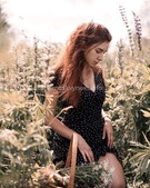 Анкета проститутки Таня - Фото 1, метро Ленинский пр-кт, 23 года, №99702