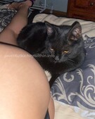 Анкета проститутки Даша - метро Тимирязевский, возраст - 21