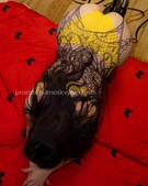 Анкета проститутки Роза - метро Гагаринский, возраст - 28