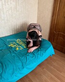 Анкета проститутки Ангелина - метро Преображенское, возраст - 30